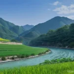 RC카의 경제적 가치 관련 이미지 1